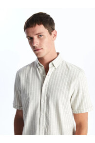 Men's Shirts