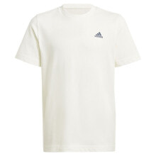 Men's sports T-shirts and T-shirts