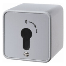 Circuit breakers, RCD, difautomats berker 4466 - Key-operated switch - 2P - Grey - Metal - Plastic - 250 V - 75 mm