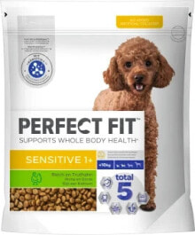 Dry dog food