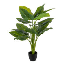 Decorative Plant Green 95 cm Arum lily