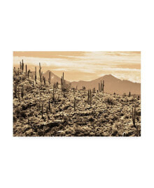 Trademark Global mitch Catanzaro Arizona Mountains Canvas Art - 19.5