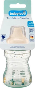 Trinklernflasche grün, ab 9 Monaten, 260 ml, 1 St