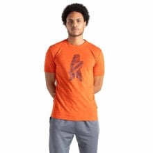 Men's sports T-shirts and T-shirts