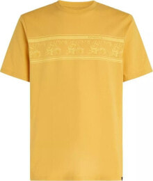 Men's sports T-shirts and T-shirts