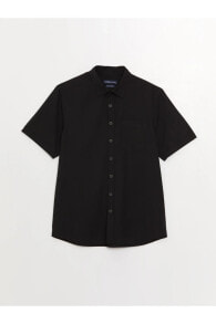 Men's Shirts