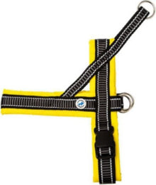 Шлейки для собак all For Dogs Norwegian dog harness 70 yellow, 83-95cm