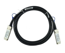 BlueOptics MCP1600-C001E30N-BL - 1 m - QSFP28 - QSFP28 - Male/Male - Black - 100 Gbit/s