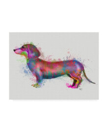 Trademark Global fab Funky Dachshund Rainbow Splash 1 Canvas Art - 15.5