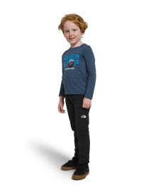 Детские брюки для мальчиков The North Face (Норт Фейс)