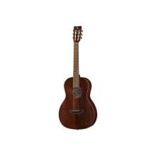 Acoustic guitars