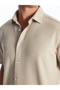 Men's Shirts