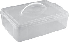 Containers and lunch boxes