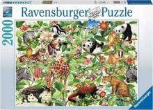 Ravensburger Puzzle 2000el Dżungla 168248 RAVENSBURGER p6