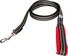 Dog Leashes