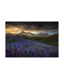 Trademark Global peter Svoboda Mqep Blue Meadows Canvas Art - 37