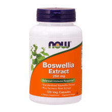 Витамины и БАДы для укрепления иммунитета NOW Boswellia Extract Экстракт босвеллии 250 мг 120 вегетарианских капсул