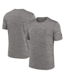 Nike men's Heather Charcoal Green Bay Packers 2023 Sideline Alternate Logo Performance T-shirt