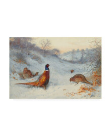 Trademark Global archibald Thorburn Pheasant in the snow Canvas Art - 15.5