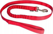 Dog Leashes