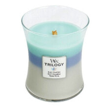 Декоративные свечи scented candle Trilogy medium Woven Comfort with 275 g