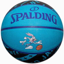Мяч баскетбольный Spalding Space Jam Tune Squad IV