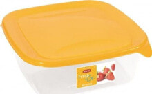 Containers and lunch boxes