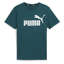 Men's sports T-shirts and T-shirts