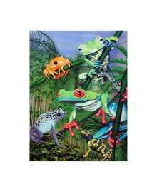 Trademark Global patrick Sullivan Tree Frogs Canvas Art - 15.5