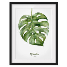 Bild Aquarell Botanik Monstera I