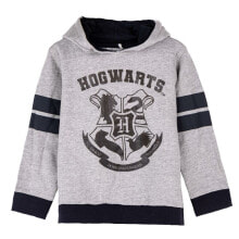 Детские спортивные толстовки для мальчиков Harry Potter купить от $28