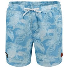 Swimming trunks and shorts