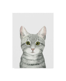 Trademark Global grace Popp Cat Portrait III Canvas Art - 37