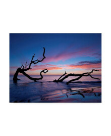 Trademark Global pH Burchett Driftwood Beach Canvas Art - 20