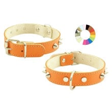 YOUPET 1F L250 Dog Collar