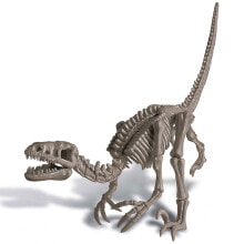 4M Dig A Velociraptor Skeleton Dinosaur Kit