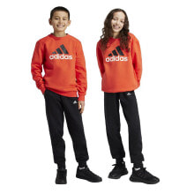 ADIDAS Essentials Big Logo Fleece Jogger junior set