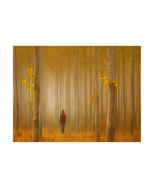 Trademark Global lydia Jacobs Lost in Autumn Canvas Art - 15