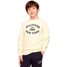 TOMMY HILFIGER KB0KB09048 sweatshirt