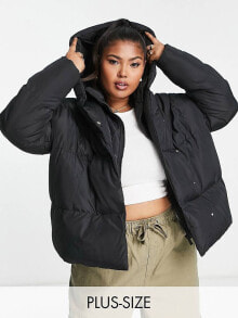 Women's Outerwear