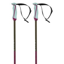 Nordic walking sticks and trekking poles