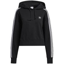 Women's Hoodies