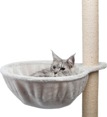 Scratching posts for cats