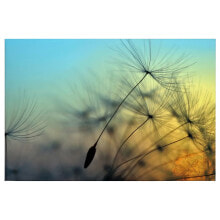 Wandbild Flying Dandelion