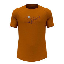 Men's sports T-shirts and T-shirts