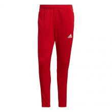 Мужские спортивные брюки мужские брюки спортивные красные зауженные летние Adidas Tiro 21 Training M GJ9869 pants