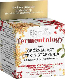 Anti-Aging-Gesichtscreme - Efektima Instytut Fermentology Smoothing Anti Aging Cream