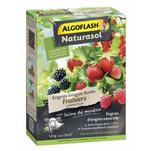 Plant fertiliser Algoflash Strawberries, currant, blackberry, blueberry and raspberry