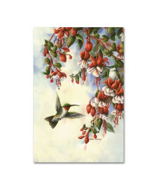 Trademark Global wanda Mumm 'Hummingbird D' Canvas Art - 24