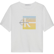 Спортивная одежда, обувь и аксессуары cALVIN KLEIN JEANS Summer Gradient Graphic Short Sleeve T-Shirt
